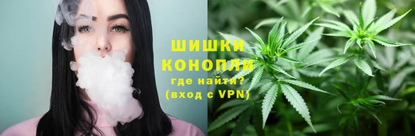 дмт Новодвинск